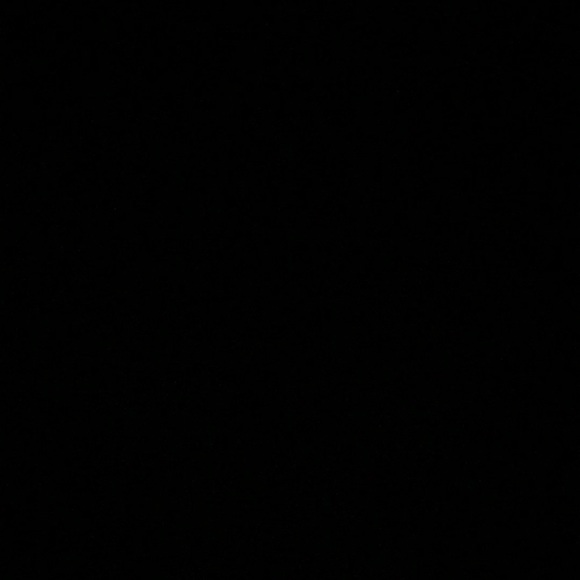 Meet your Posher, Abby - Picture 1 of 1